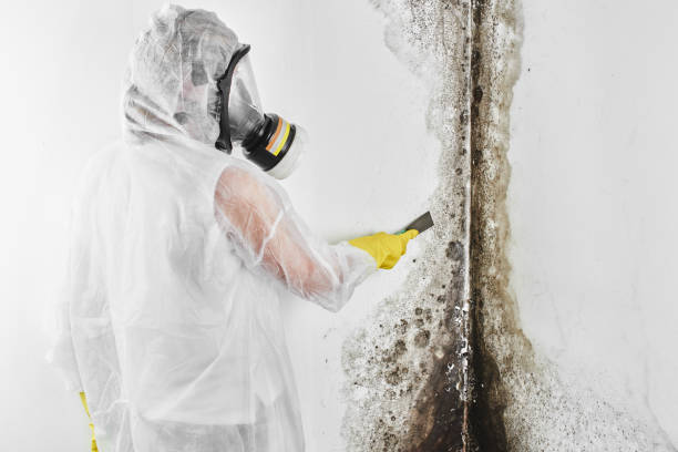 Water Damage Restoration in Milan, OH