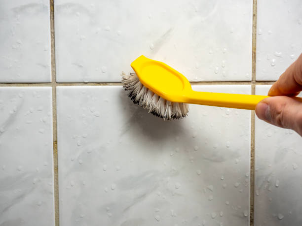 Best Professional Mold Removal  in Milan, OH