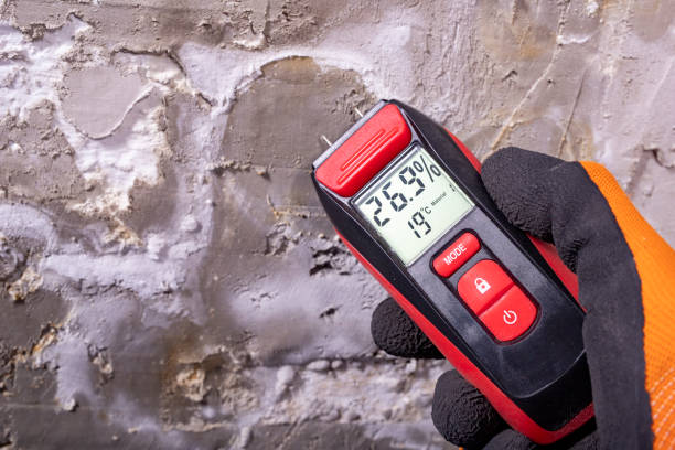 Certified Mold Removal in Milan, OH