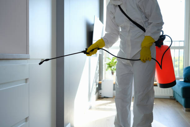 Best Mold Cleaning Services  in Milan, OH