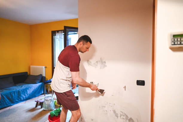 Best Local Mold Removal Service  in Milan, OH