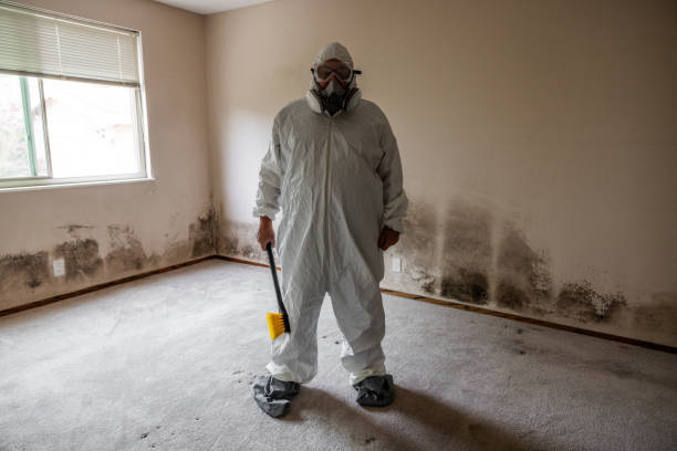 Best Toxic Mold Removal  in Milan, OH
